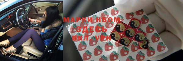 спайс Покачи