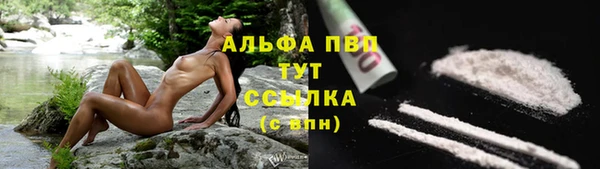 спайс Покачи