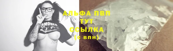 спайс Покачи