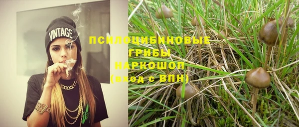 мдпв Покров