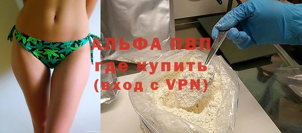 спайс Покачи