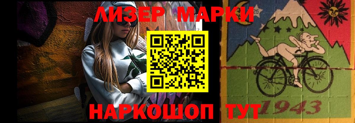 МЕФ Грозный