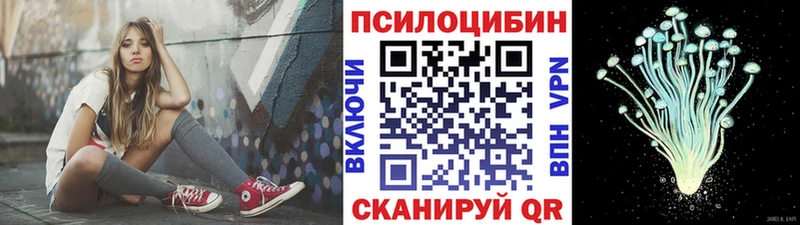 блэк спрут онион  Грозный  Галлюциногенные грибы ЛСД 