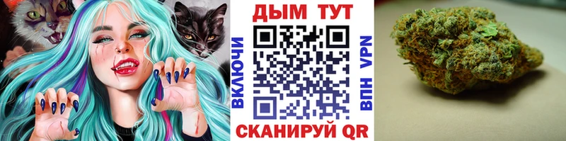 Бошки Шишки сатива  маркетплейс официальный сайт  Грозный  omg онион 