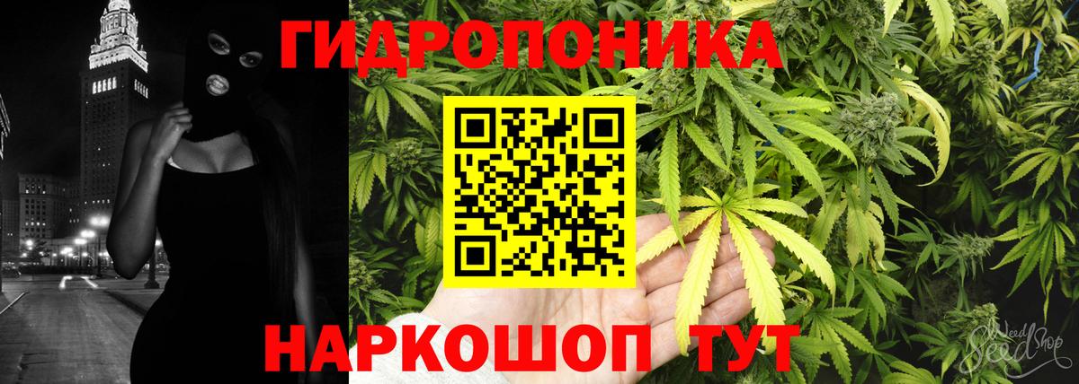 МАРИХУАНА план Грозный